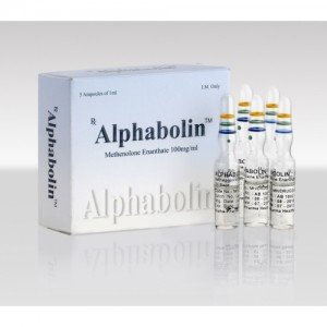 Alphabolin™ 100 mg/ml 5 Amps in box (Primobolan)